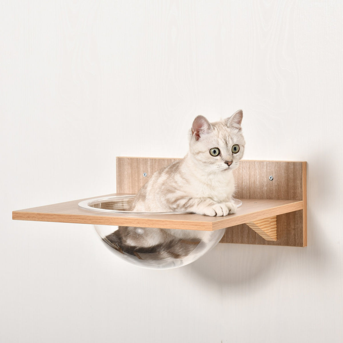 Set For Cats With Scratching Post, Cat Stairs And Hammock, Light Brown, Sisal, Acrylic, Pine