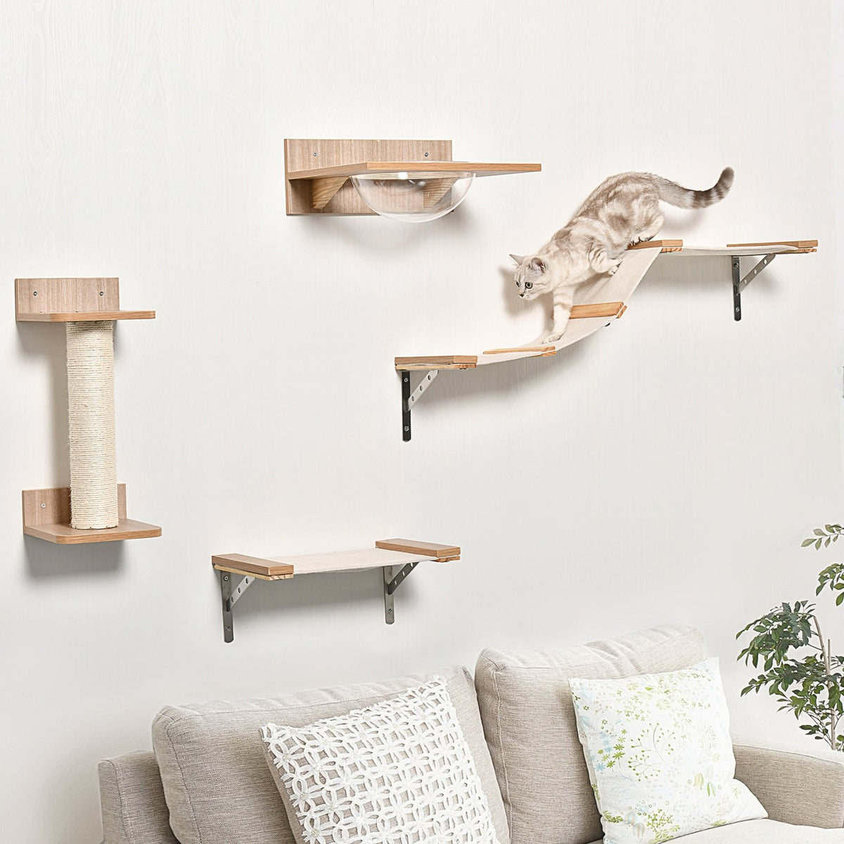 Set For Cats With Scratching Post, Cat Stairs And Hammock, Light Brown, Sisal, Acrylic, Pine