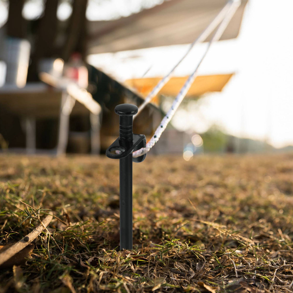 Set of 12 Tent Pegs