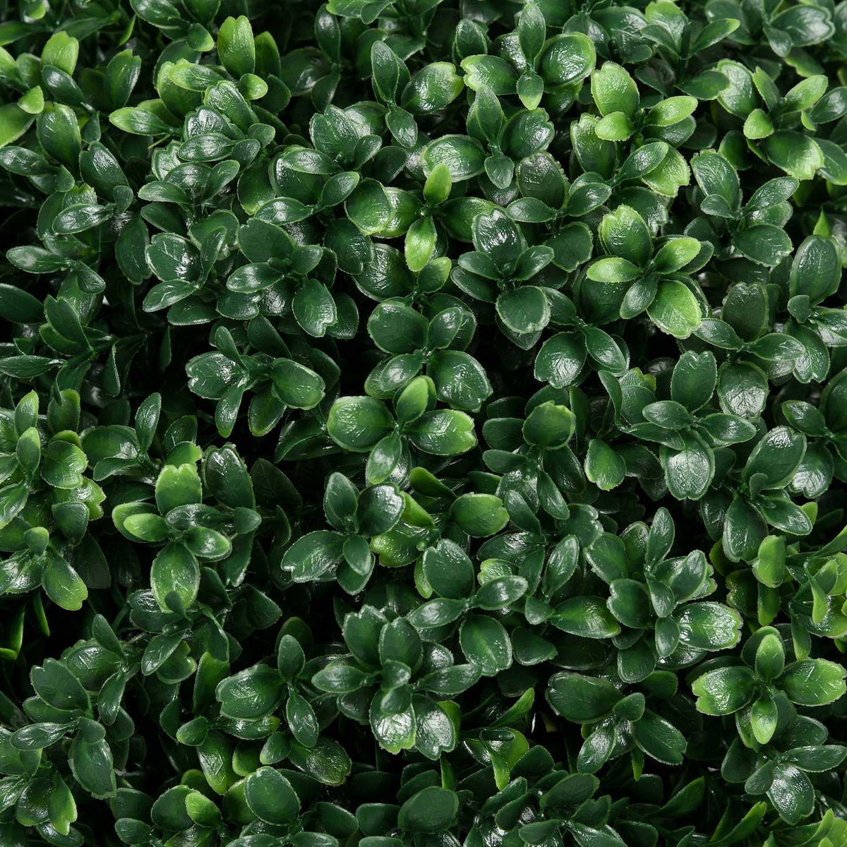 Set of 2 artificial boxwood large 70 cm artificial plants with UV protection, artificial plants like real ones with ground stakes for living room, bedroom, office, garden, modern decoration