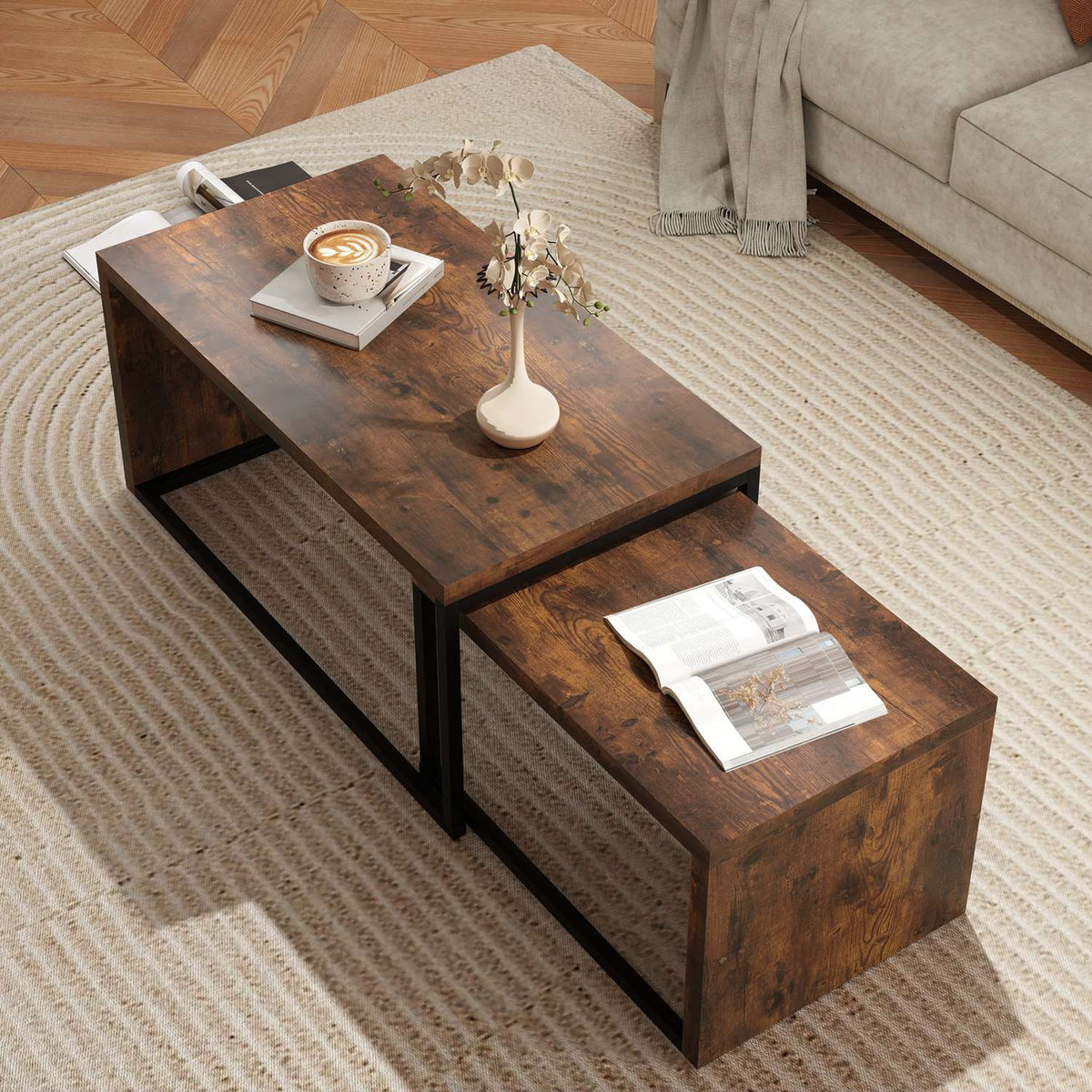 Set of 2 coffee tables, sofa table, side table, coffee table, various shapes, multifunctional, elegant, simple, metal base, black and brown