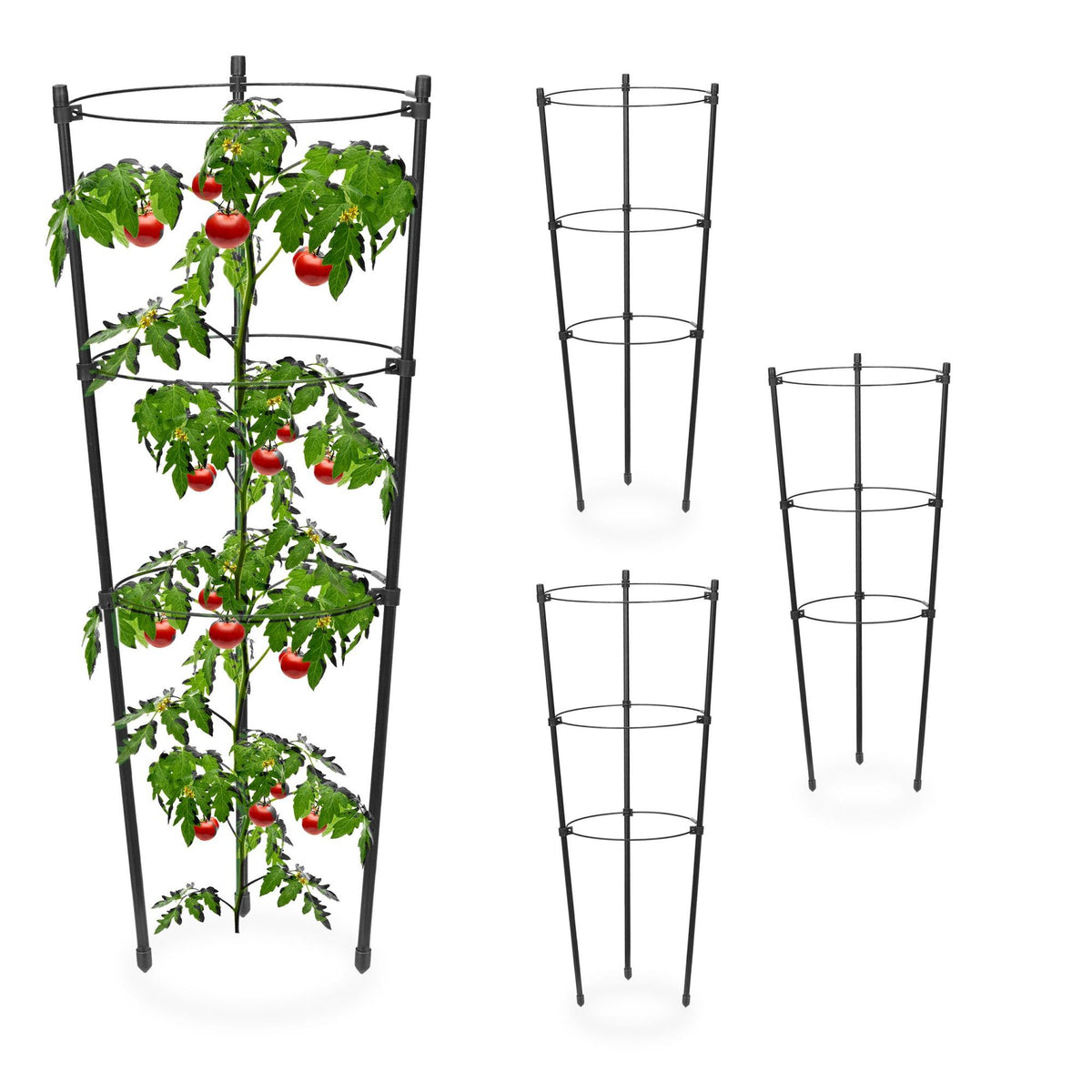 Set of 4 Round Plant Supports, 45 cm