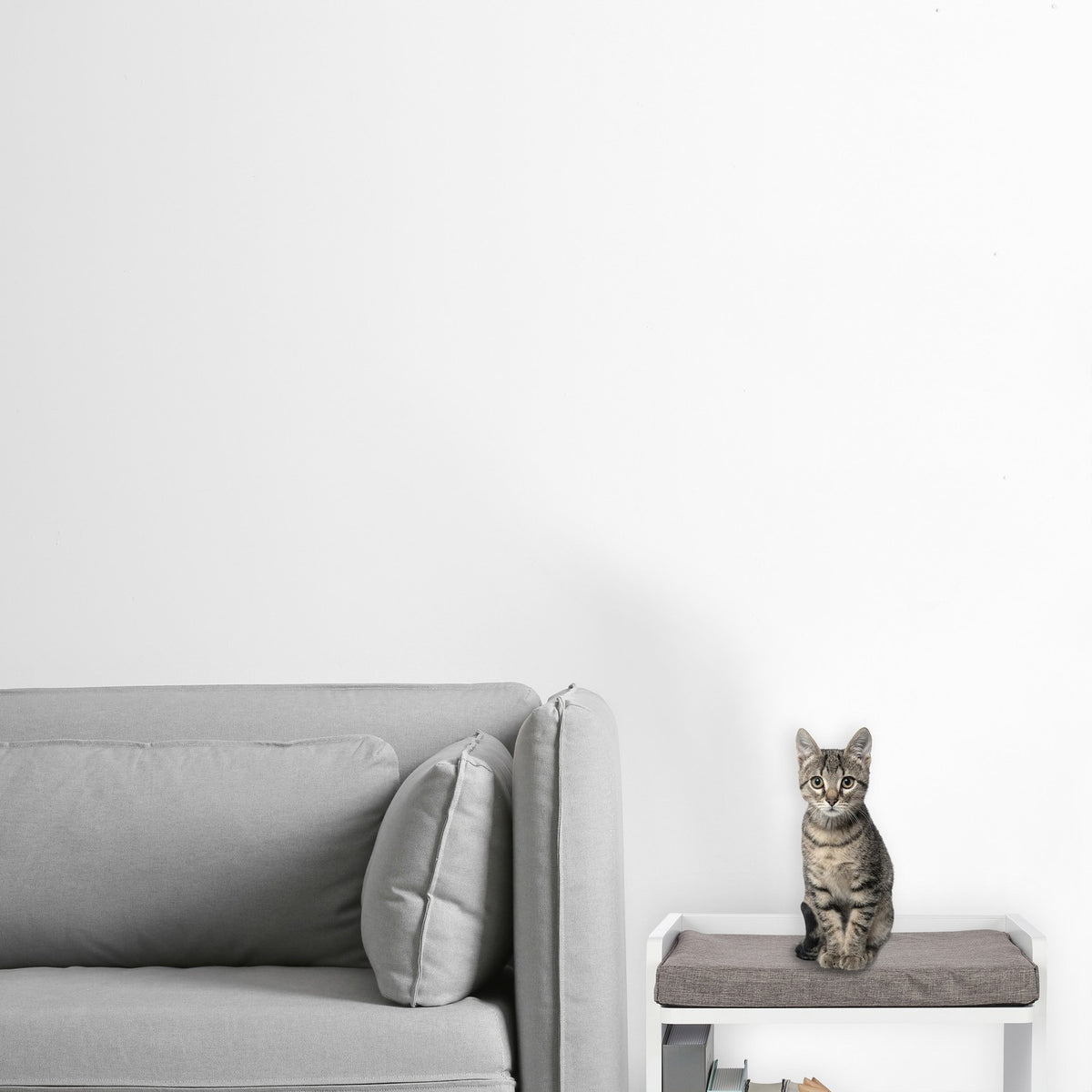 Side table with pet cushion