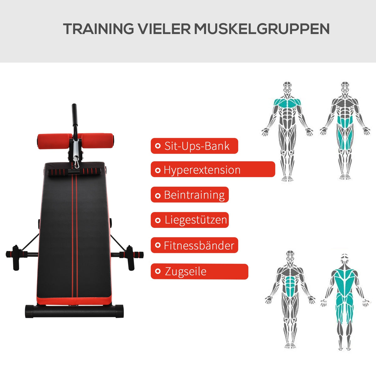 Sit-Up Bench Abdominal Trainer Multifunction With Training Bands Fitness Steel Black 139 X 58 X 71-81 Cm