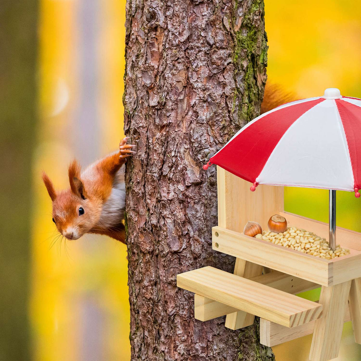 Squirrel Picnic Table Feeder with 2 Umbrellas