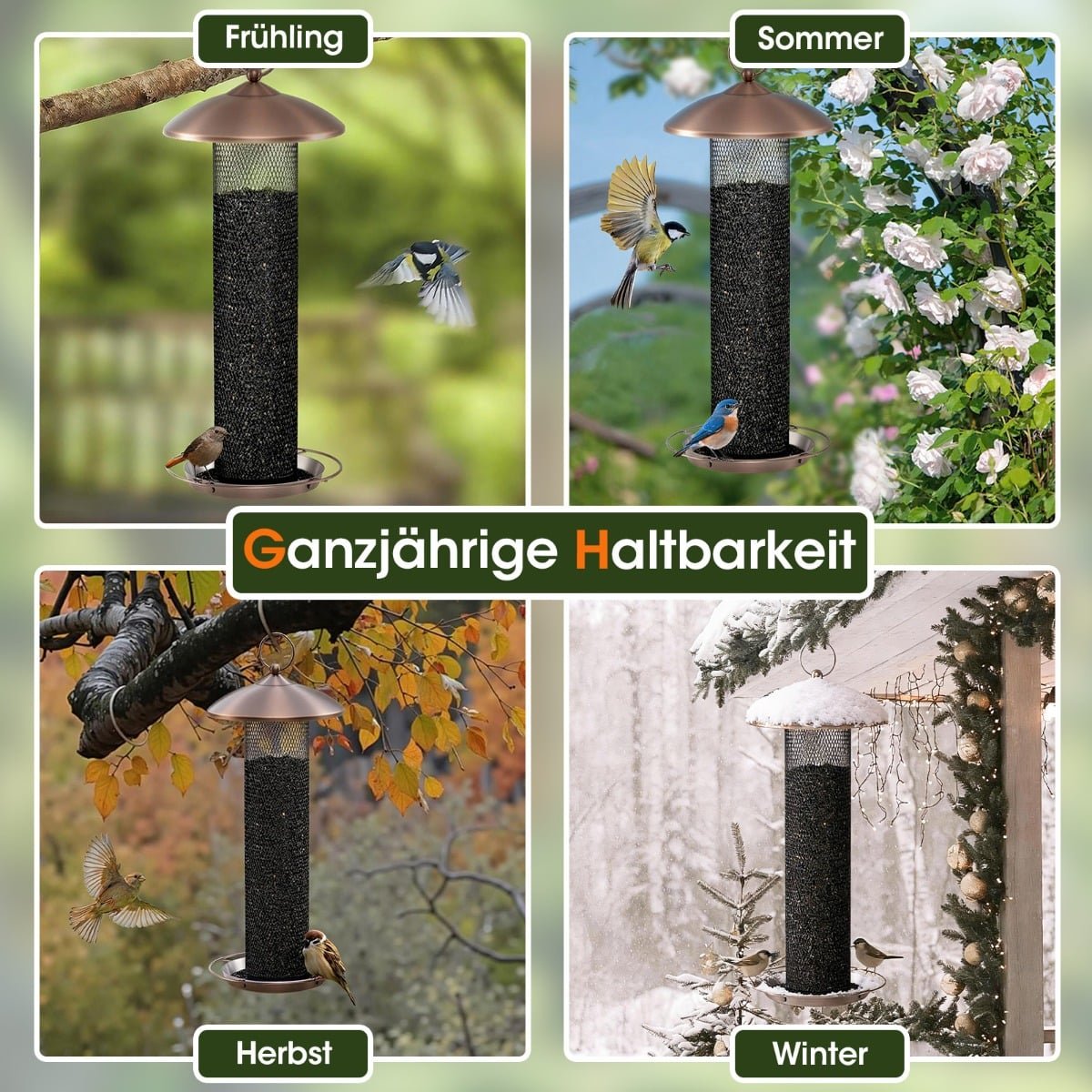 Squirrel-Proof Bird Feeder, 1.6 kg Capacity, Weatherproof