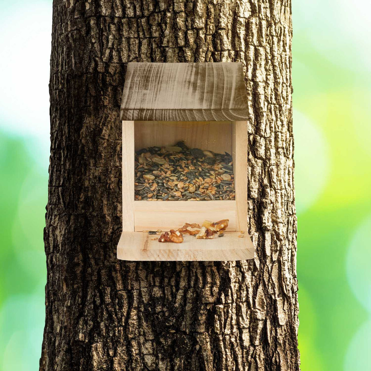 Squirrel feeder Wood