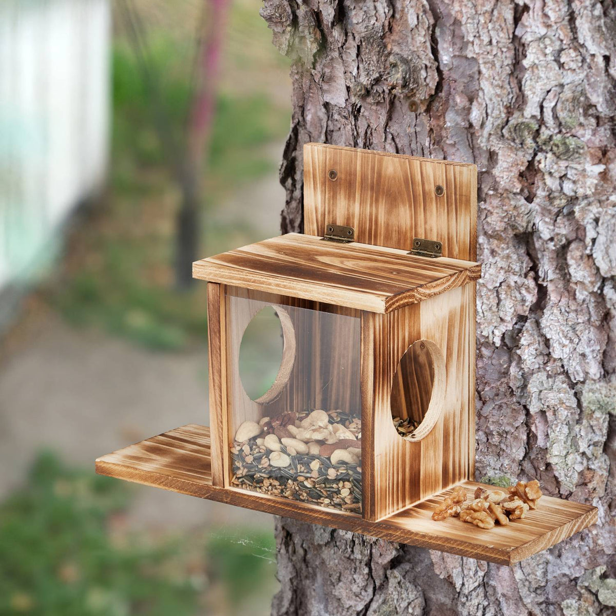 Squirrel feeder with 2 inputs