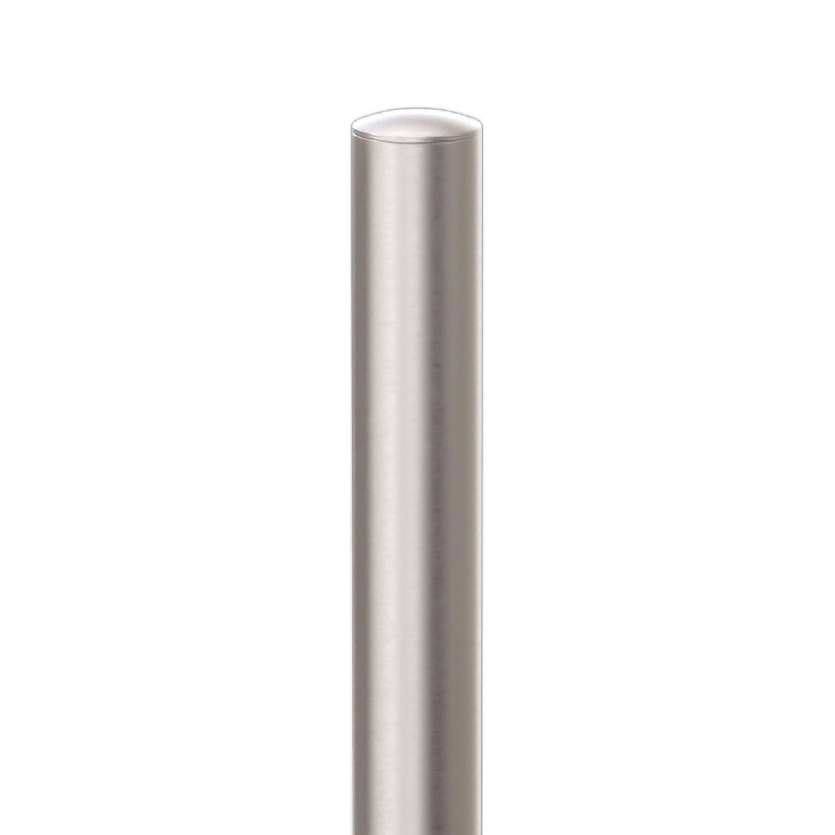 Stainless Steel Toilet Brush with Holder