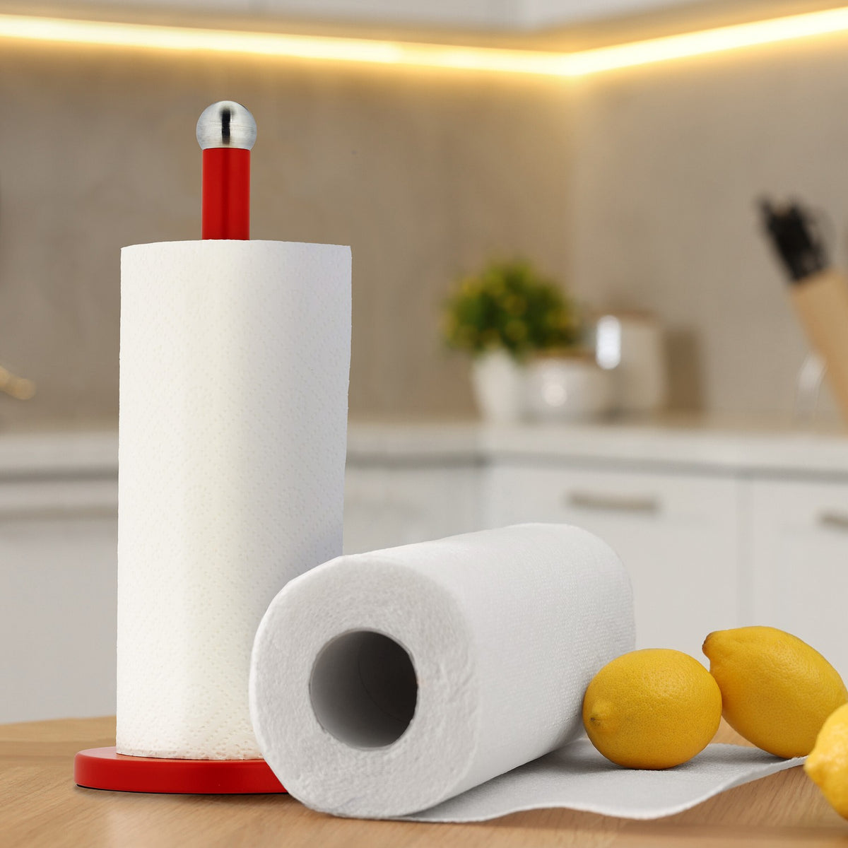 Standing holder for household paper