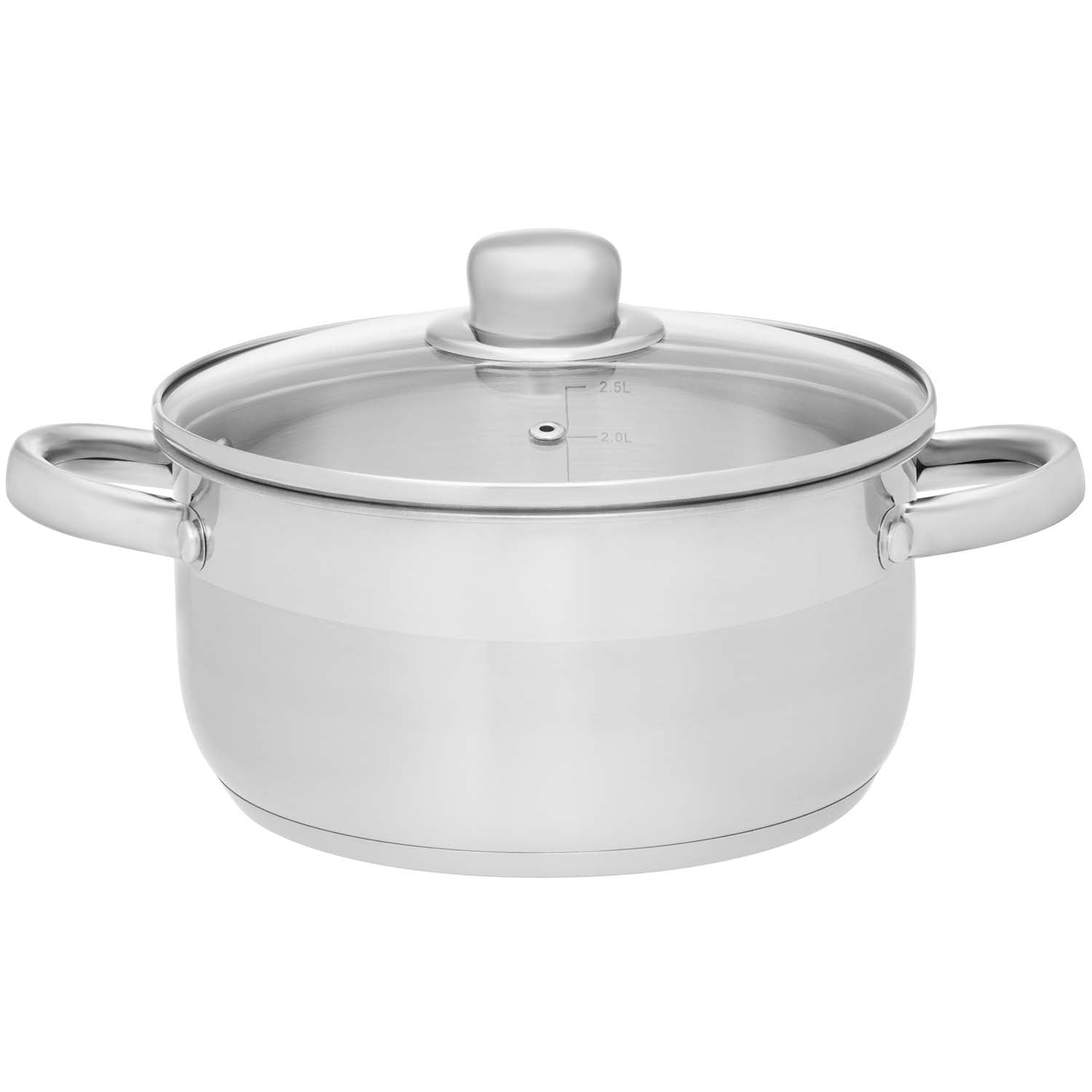 Steel Pot with Glass Lid, 6.5L Capacity