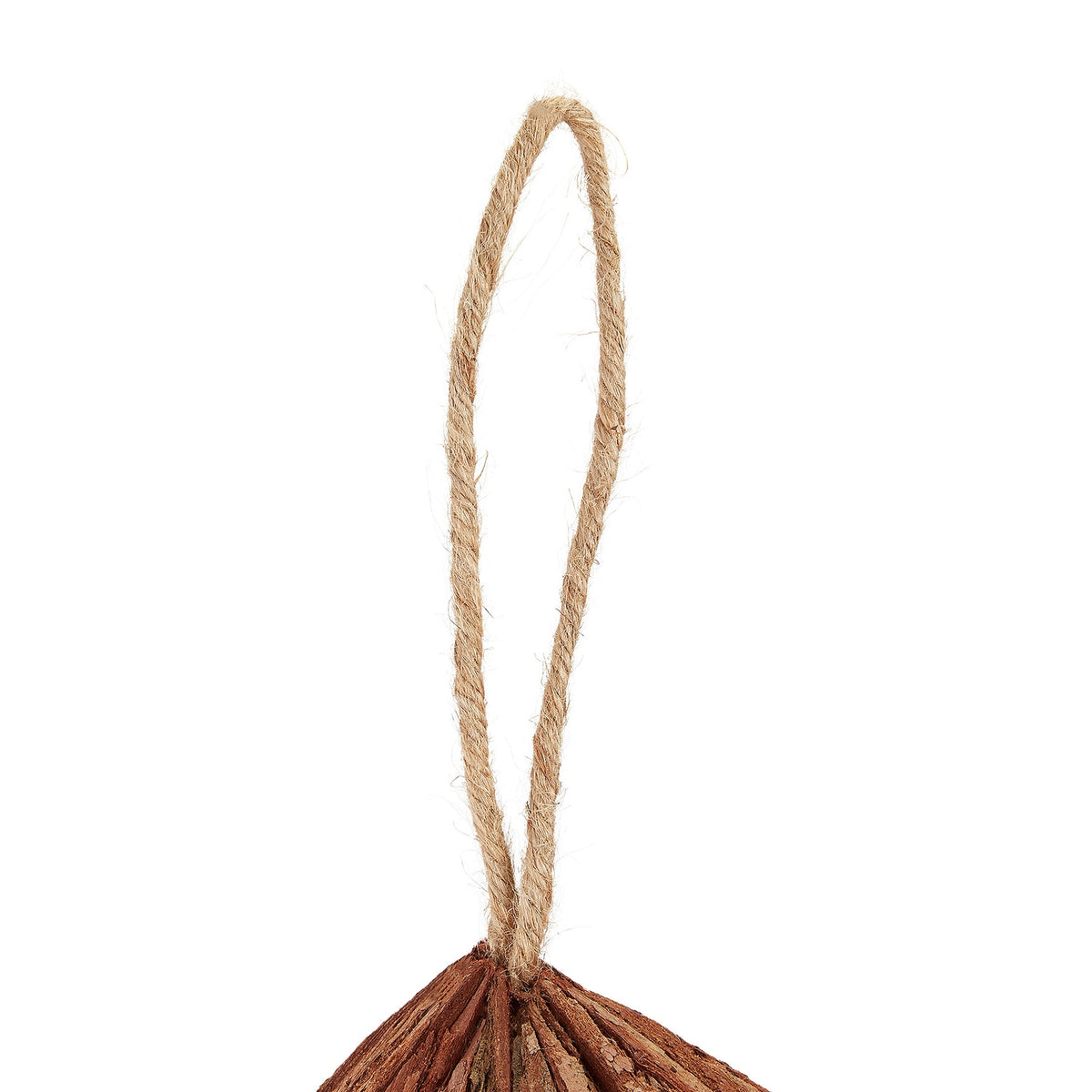 Straw from Bird's Nest