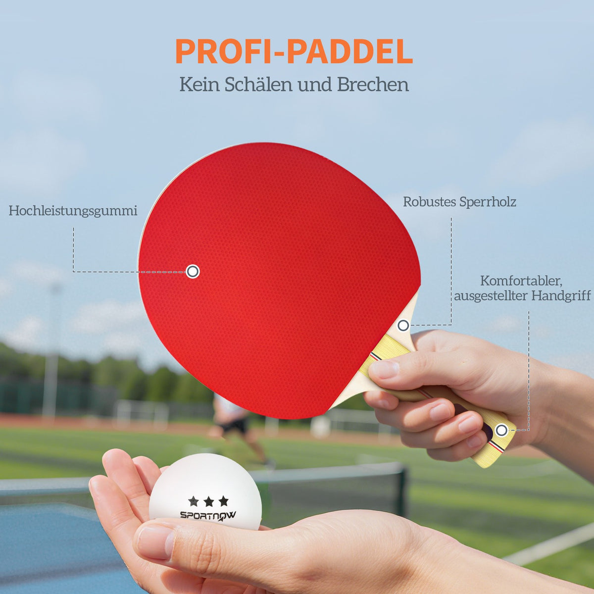 Table Tennis Set: 4 Paddles, 8 Balls, Carry Bag