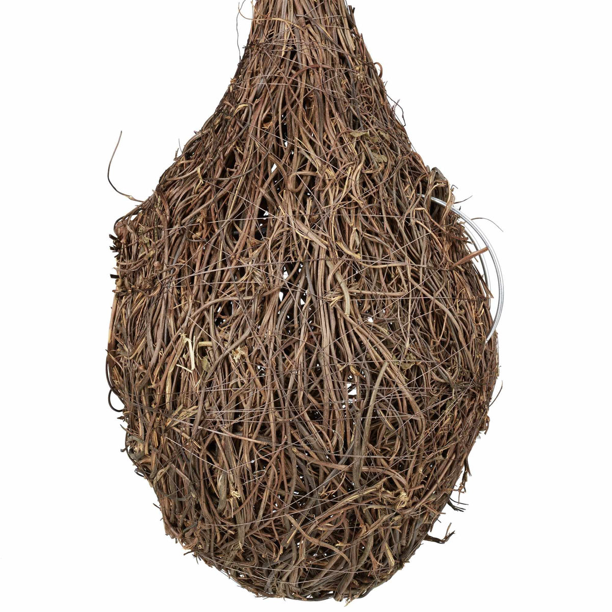 Tear Shaped Bird Nest
