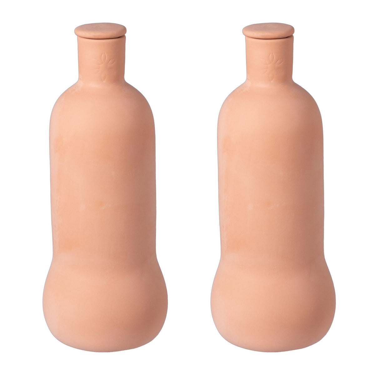 Terracotta Plant Watering Ollas, 1L, Set of 2