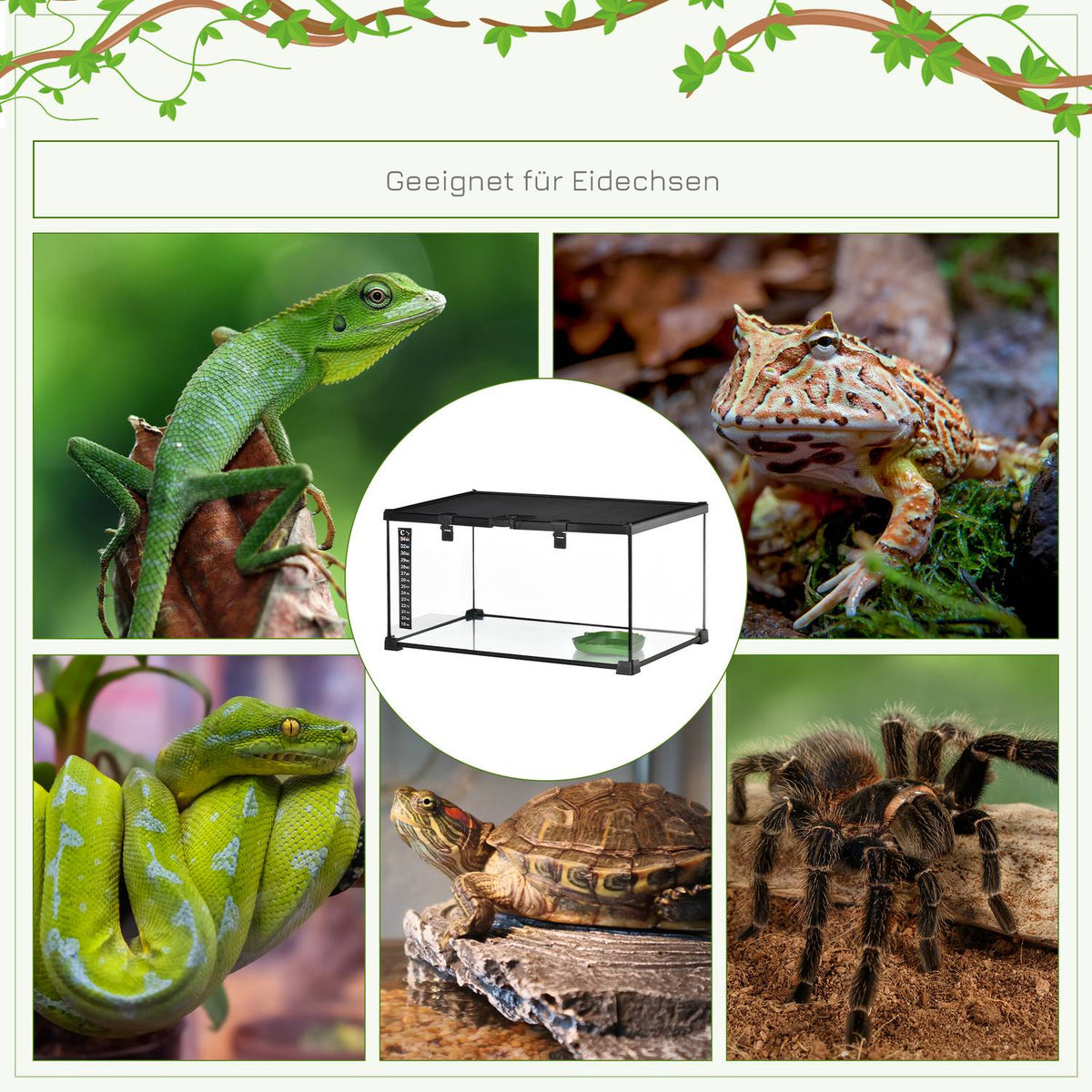 Terrarium For Reptiles Reptile Feeding Box Glass Terrarium Amphibians Arachnids With Thermometer Reptile Breeding Box 50 X 30 X 25 Cm