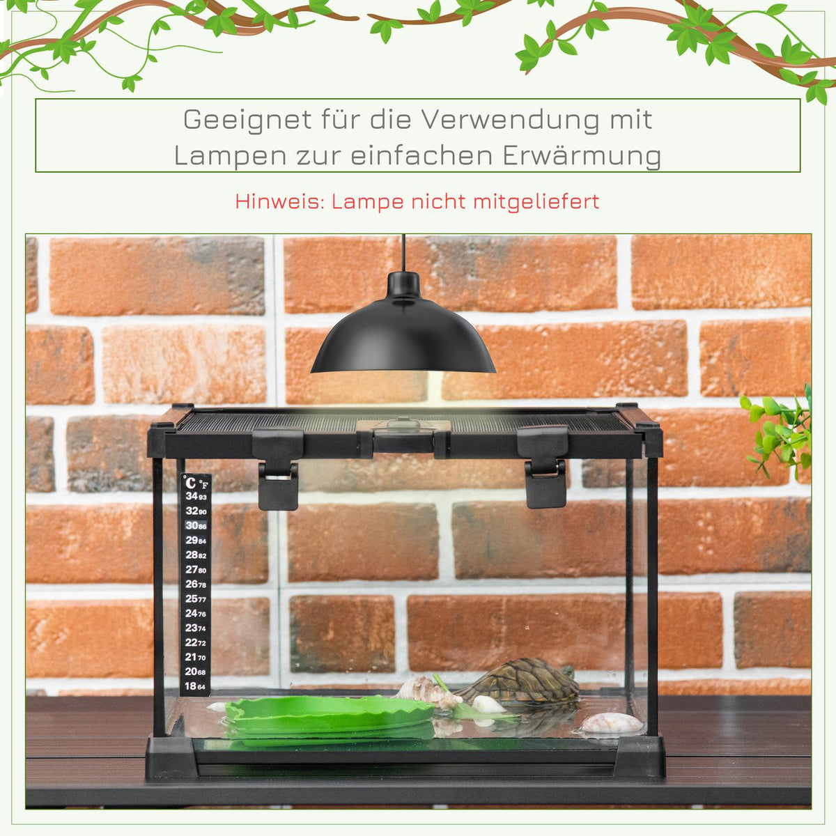 Terrarium For Reptiles Reptile Feeding Box Glass Terrarium Amphibians Arachnids With Thermometer Reptile Breeding Box 50 X 30 X 25 Cm