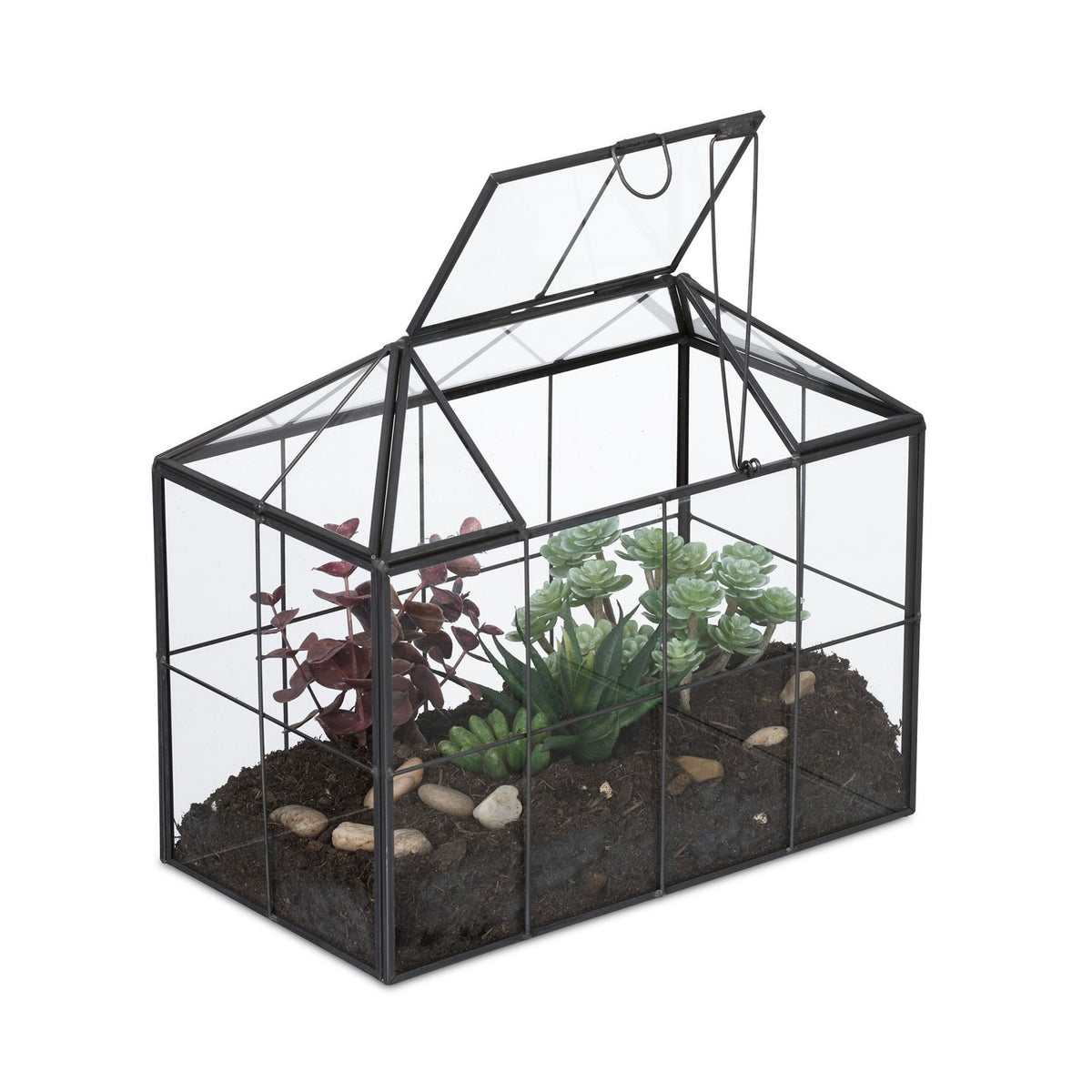 Terrarium for Indoor Plants – House Shape Glass Greenhouse