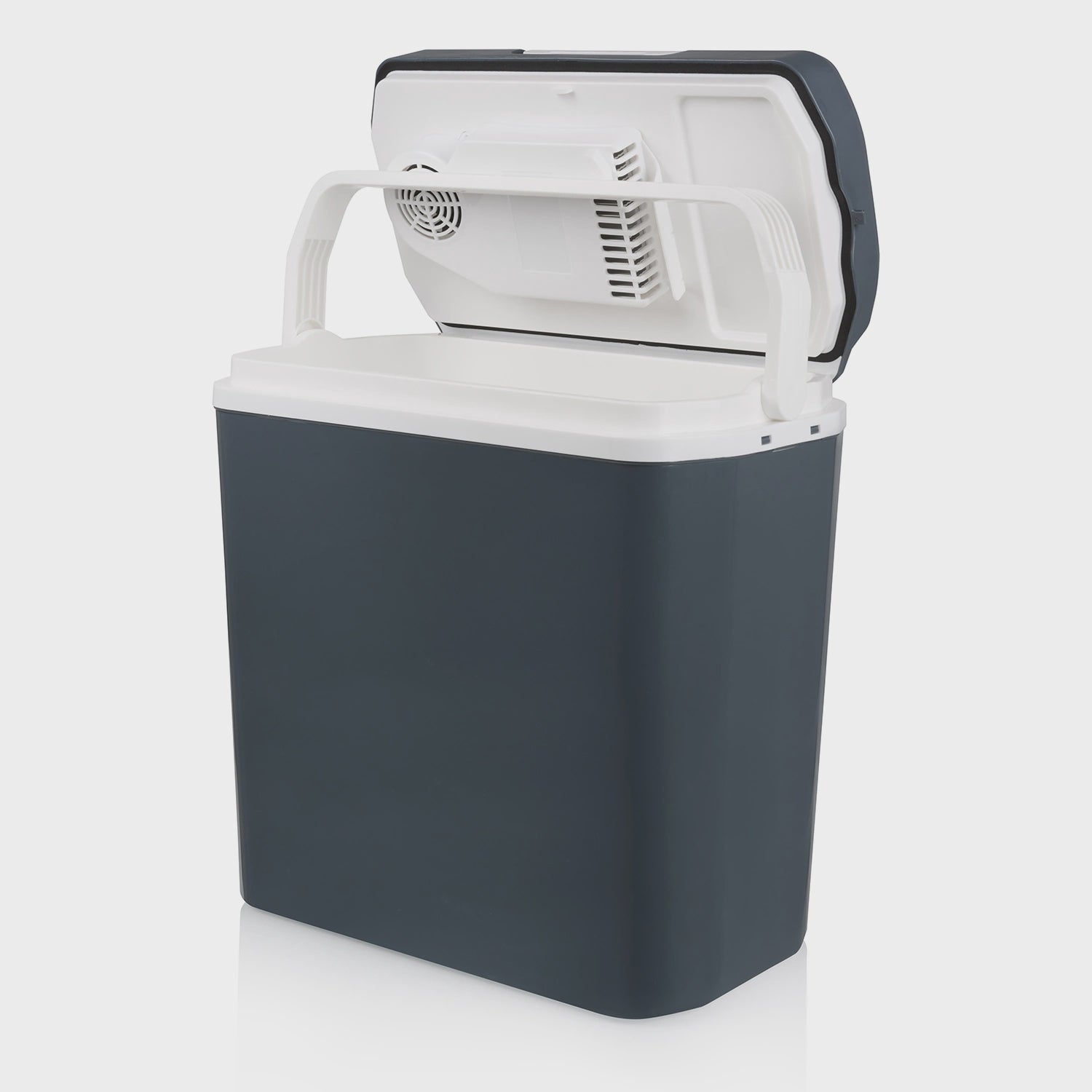 Thermoelectric Cooler & Warmer, 20L, 12/230V, Portable