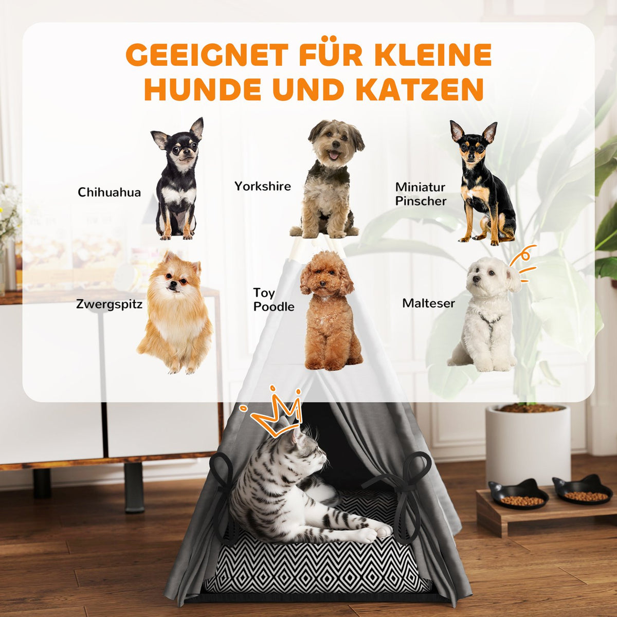 Tipi tent for pets, cat tent with removable and washable cushions, cat house with non-slip base, play ball, for cats under 5kg, mini dogs, 60 x 60 x 76 cm, gray