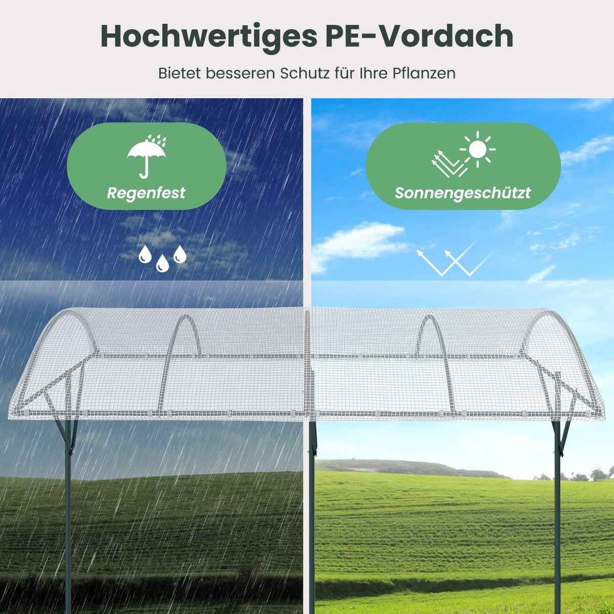Tomato Plant Shelter with PE Roof & Metal Frame