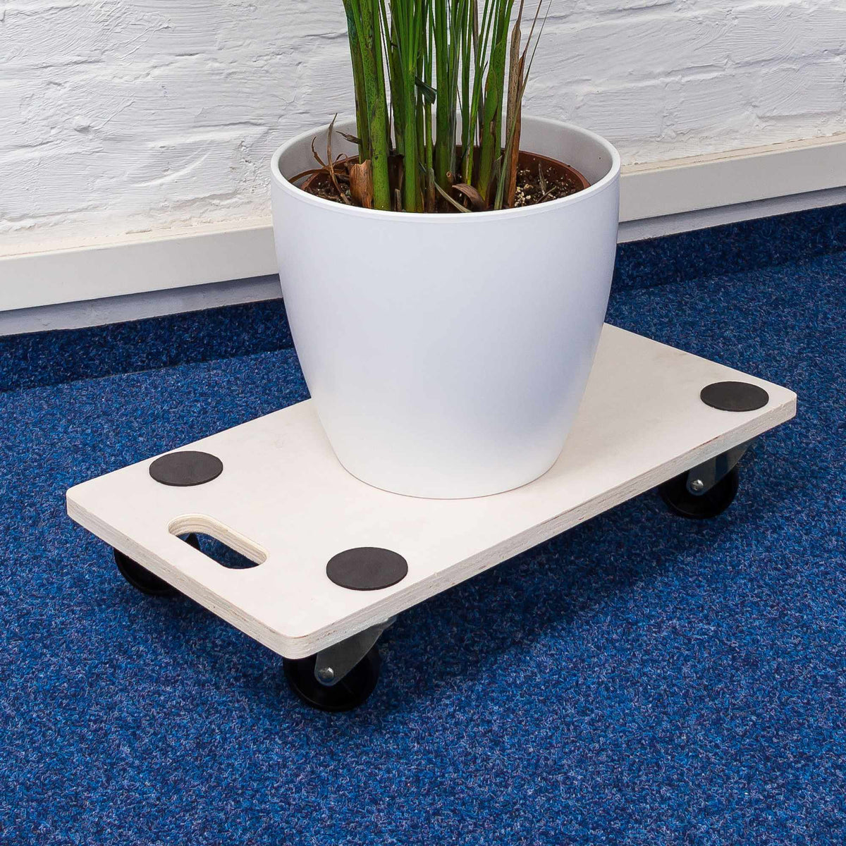 Transport roller