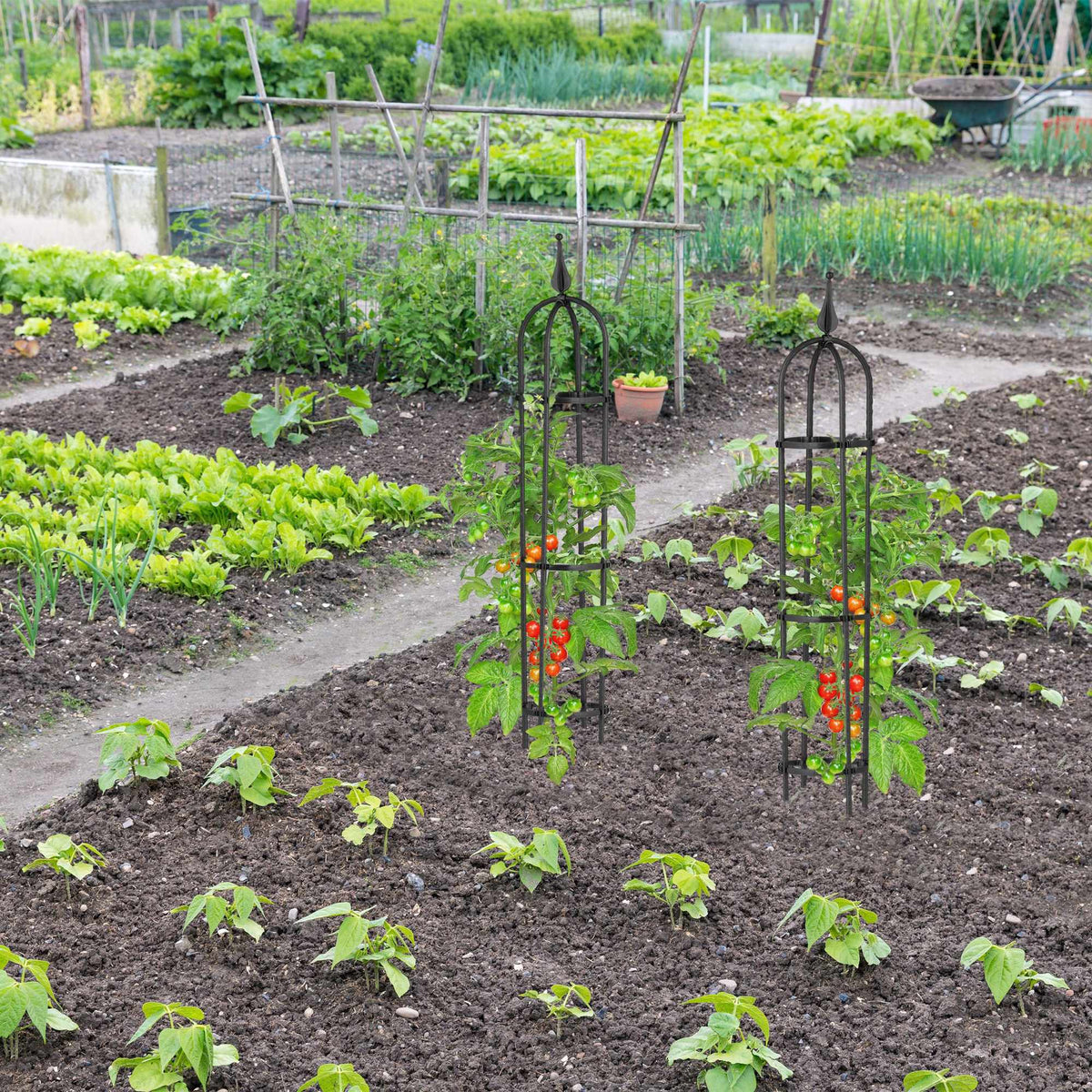 Trellis 100 cm, set of 2
