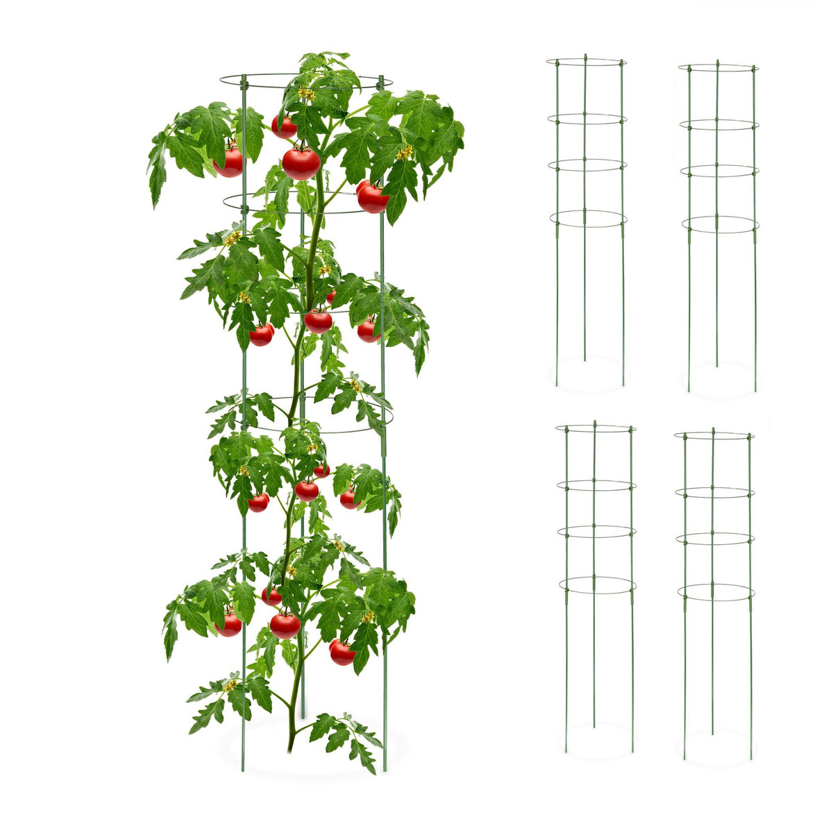 Trellis 120 cm set of 5