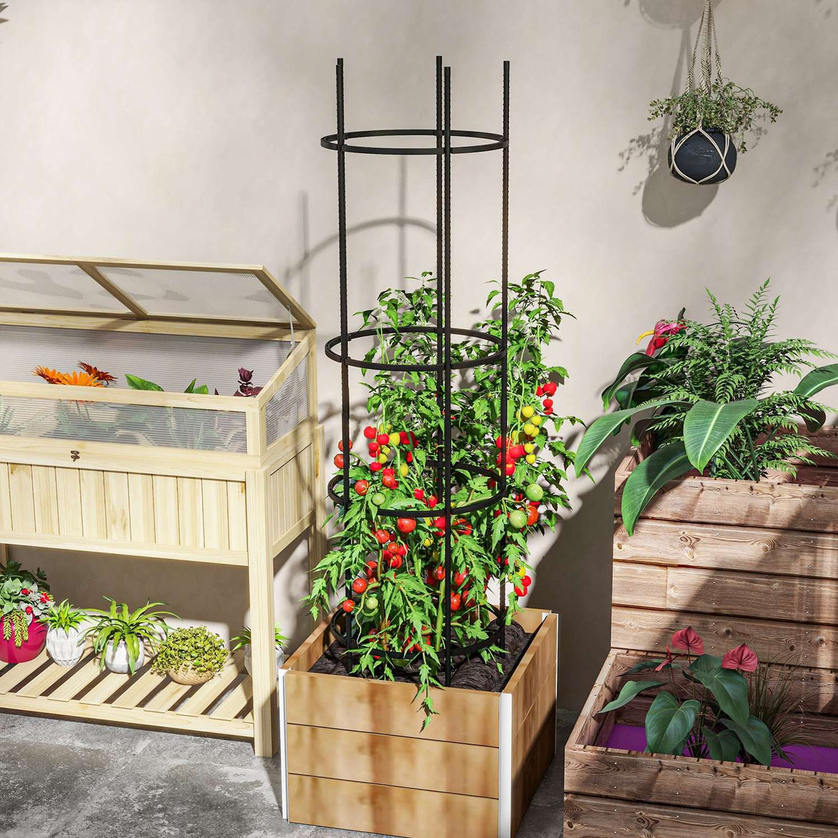 Trellis 4 Levels Plant Holder Tomato Cage Black Steel for Garden Balcony