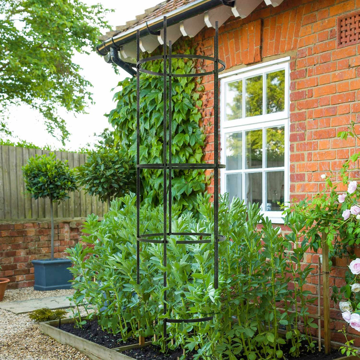 Trellis 4 Levels Plant Holder Tomato Cage Black Steel for Garden Balcony