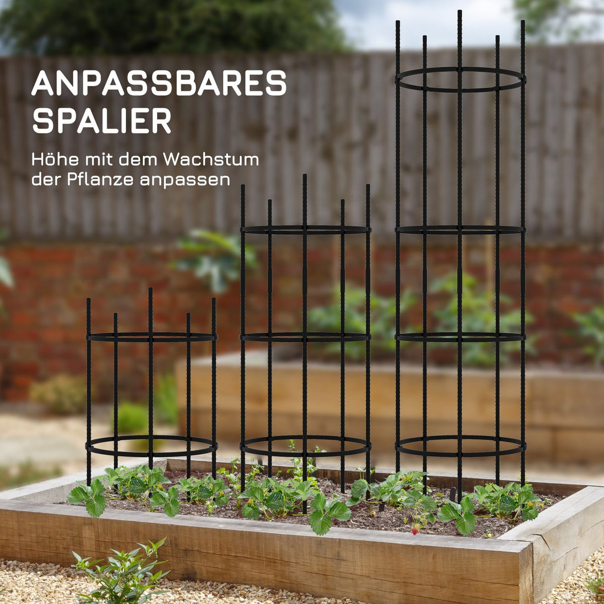 Trellis 4 Levels Plant Holder Tomato Cage Black Steel for Garden Balcony