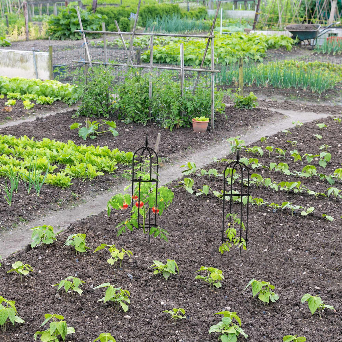 Trellis 85 cm, set of 2