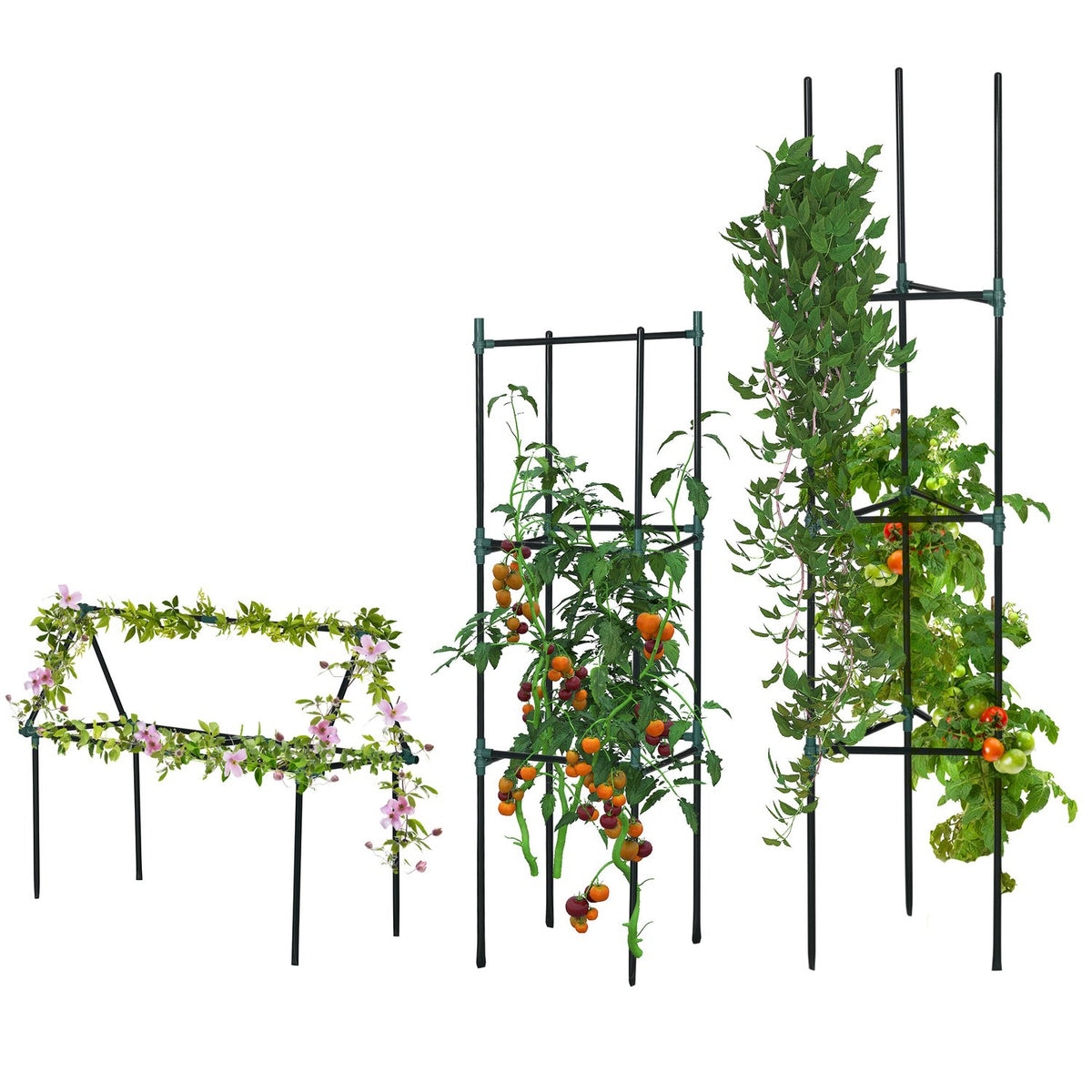 Trellis Set Of 3 Plant Holder Garden Plant Support Poles Trellis Tomato Cage For Climbing Plants Steel Green 38 X 38 X 182 Cm