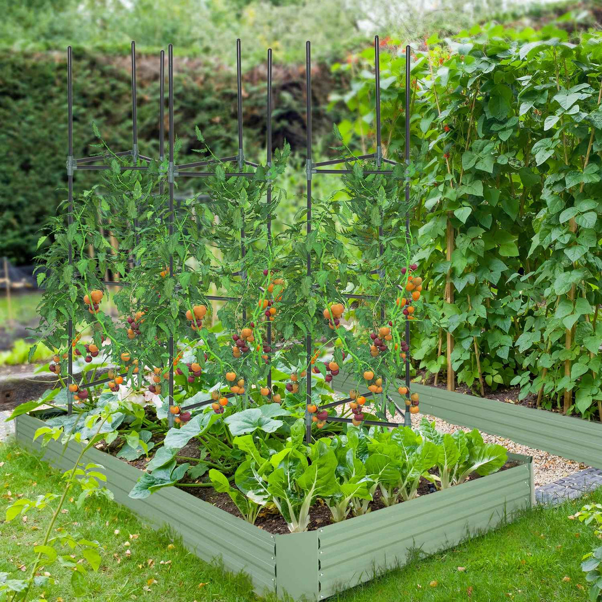 Trellis Set Of 3 Plant Holder Garden Plant Support Poles Trellis Tomato Cage For Climbing Plants Steel Green 38 X 38 X 182 Cm