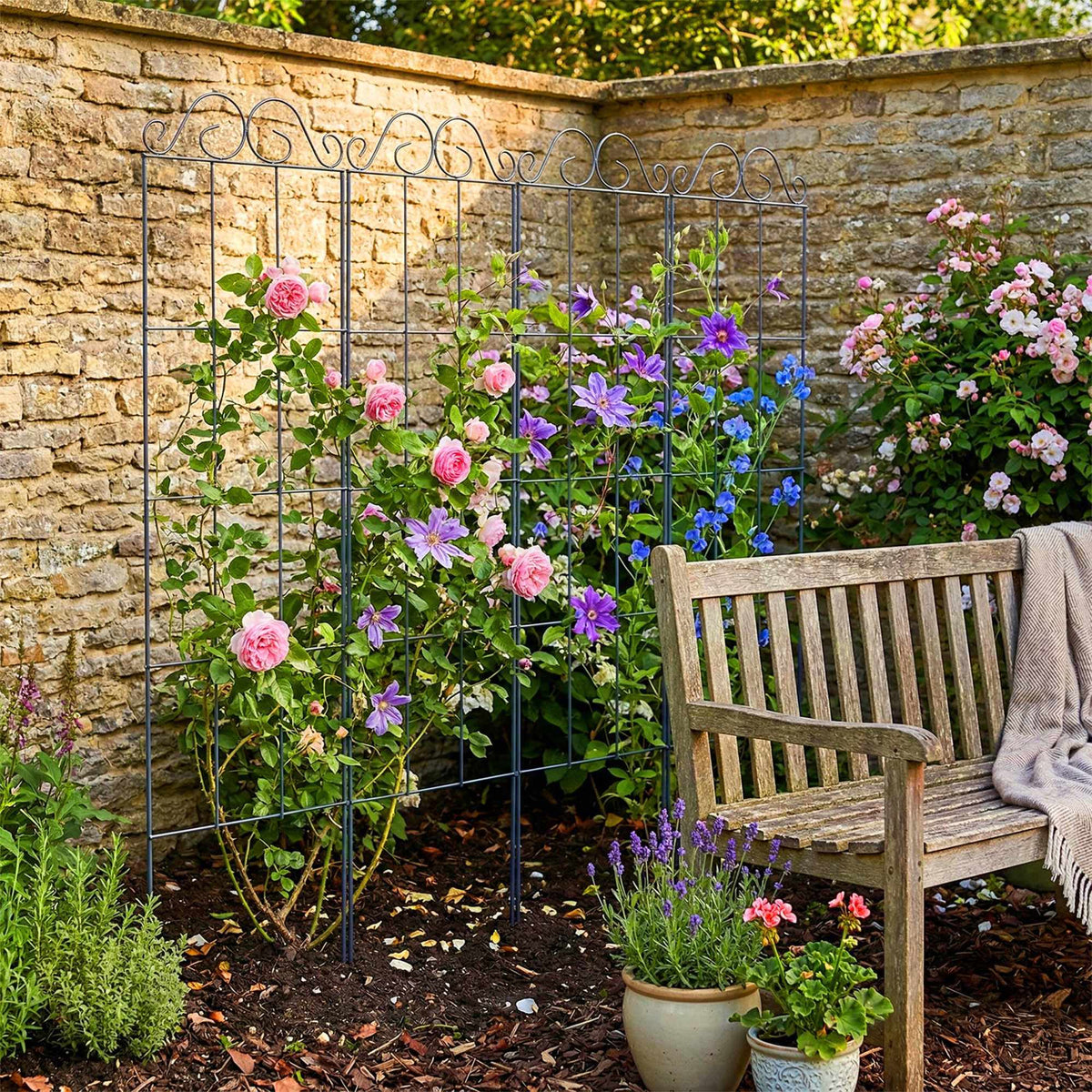 Trellis Set of 4 for Climbing Plants, Metal Support