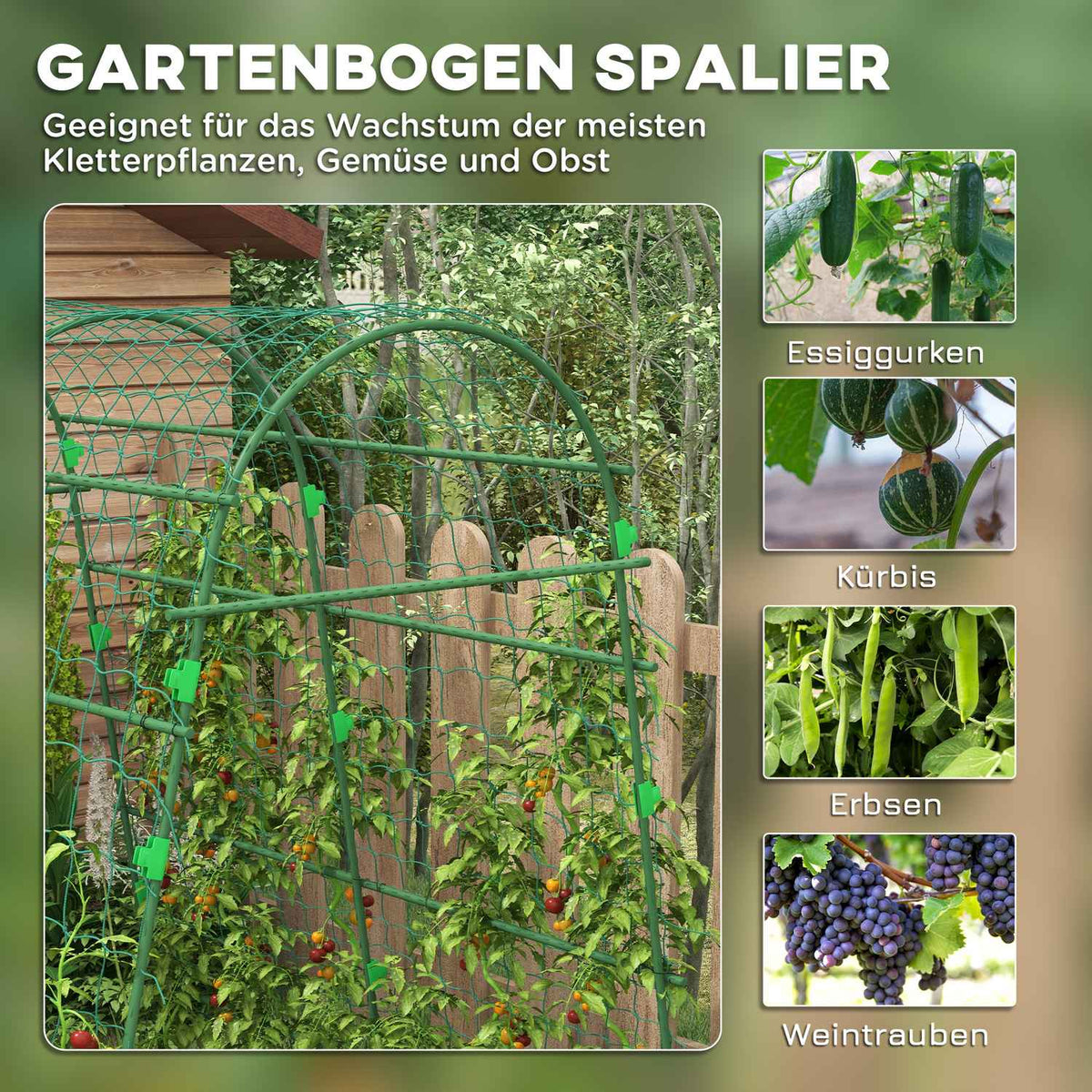 Trellis for climbing plants, adjustable trellis, plant trellis with net, plant frame for garden, balcony, steel, green, 144 x 167 x 206 cm