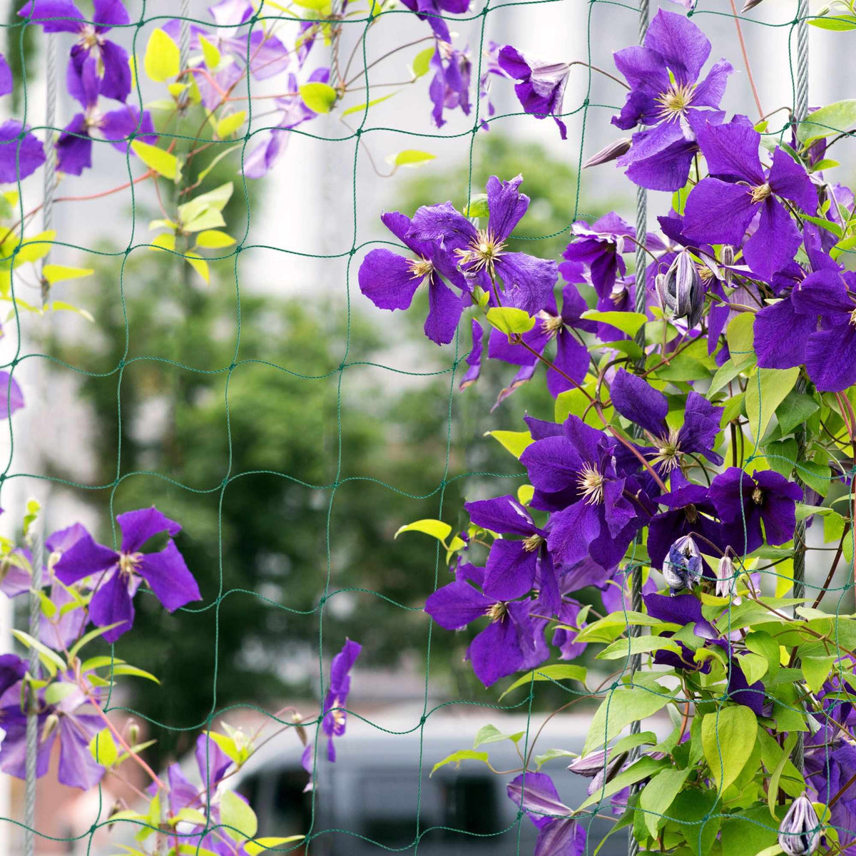 Trellis net 200 x 750 cm