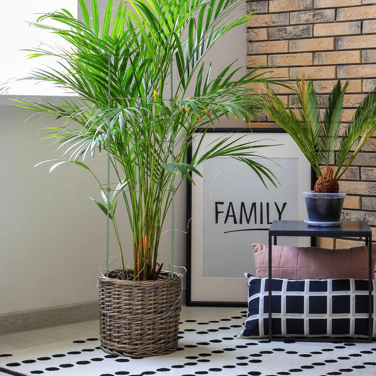 Trellis set of 4 91 cm
