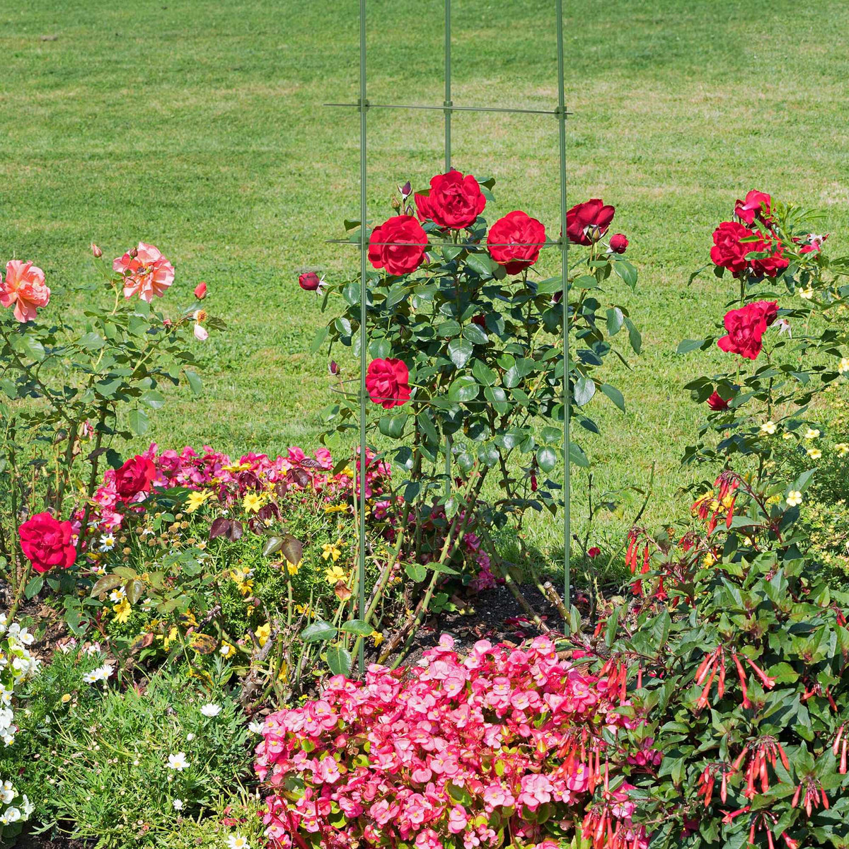 Trellis set of 4 91 cm