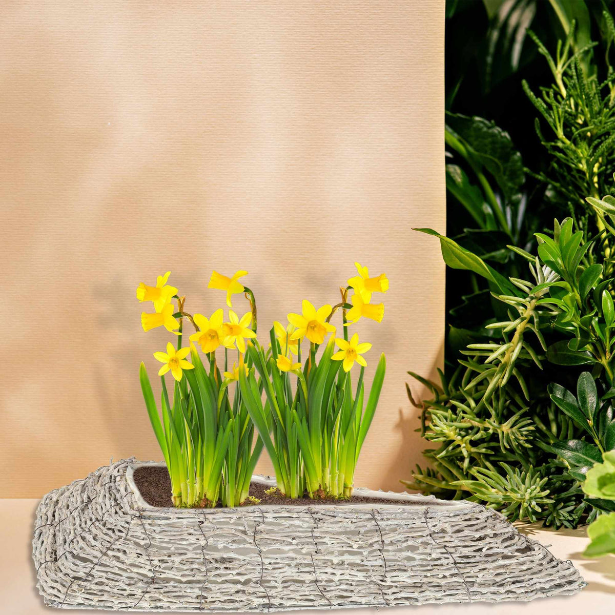 Triangular flower pot - set of 2