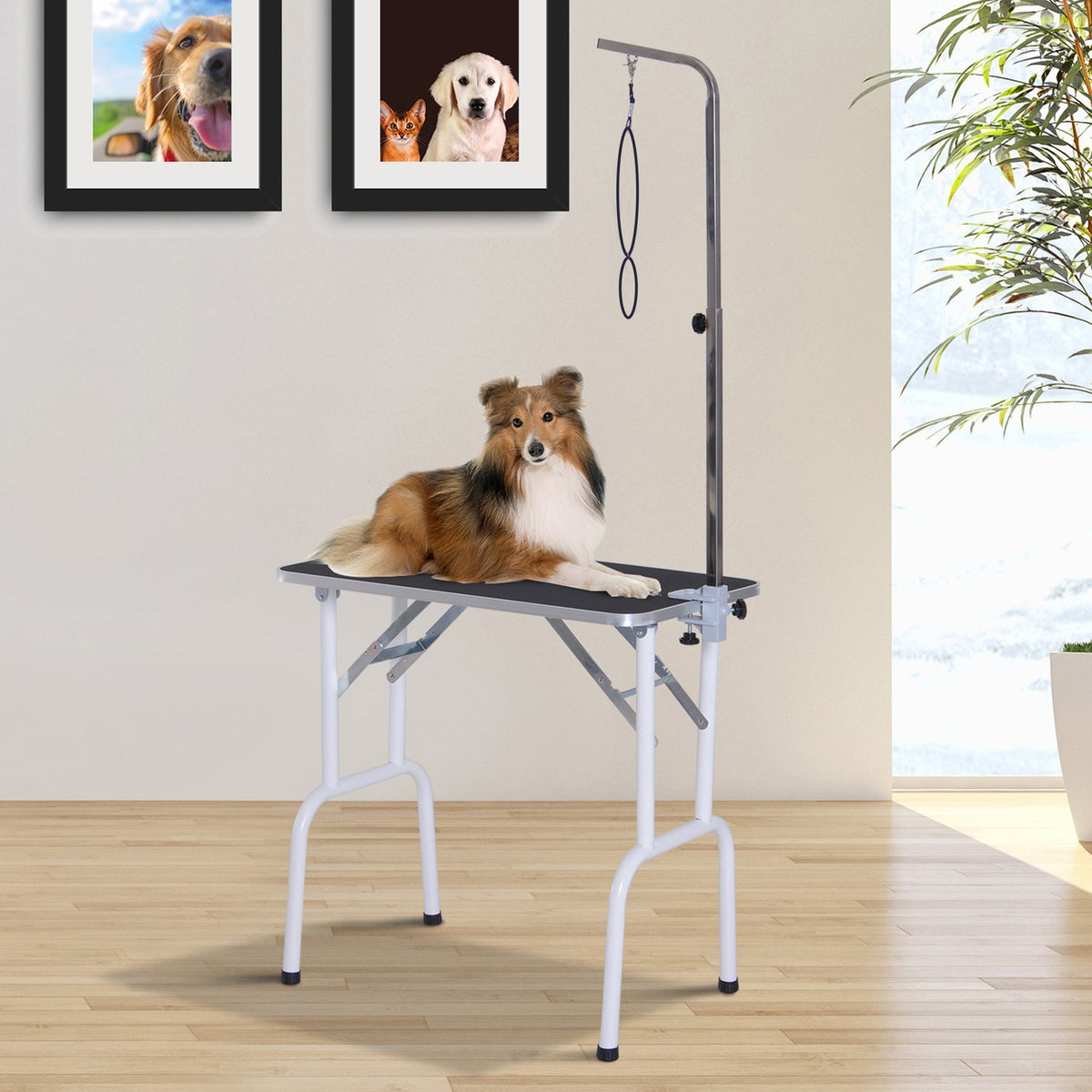 Trimming Table Folding Grooming Table For Dogs, Shearing Table With Metal Frame, Black, 81X48X80Cm