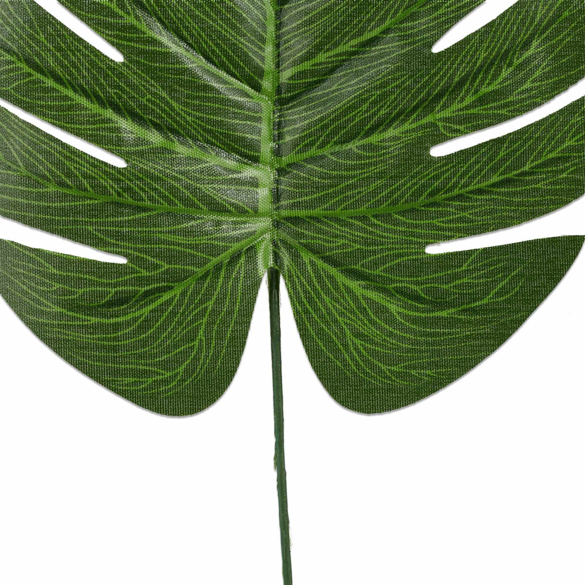 Tropical leaves set of 72