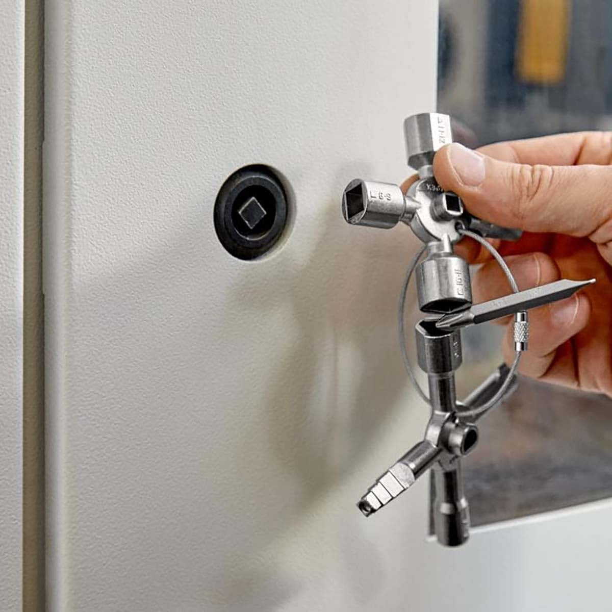 TwinKey® Control cabinet key For all standard cabinets and shutdown systems