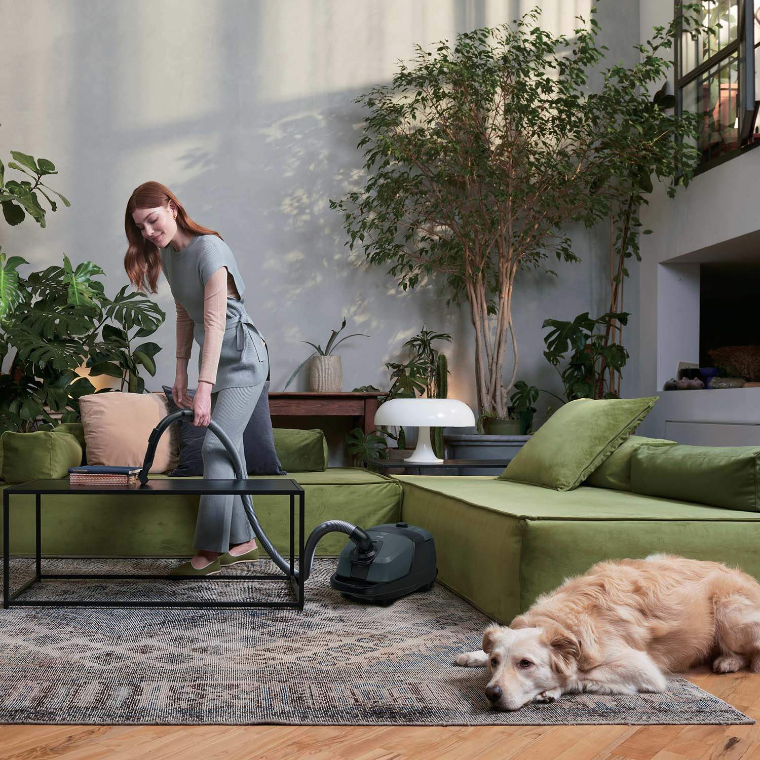 Vacuum Cleaner 850W – Home Use, High Efficiency