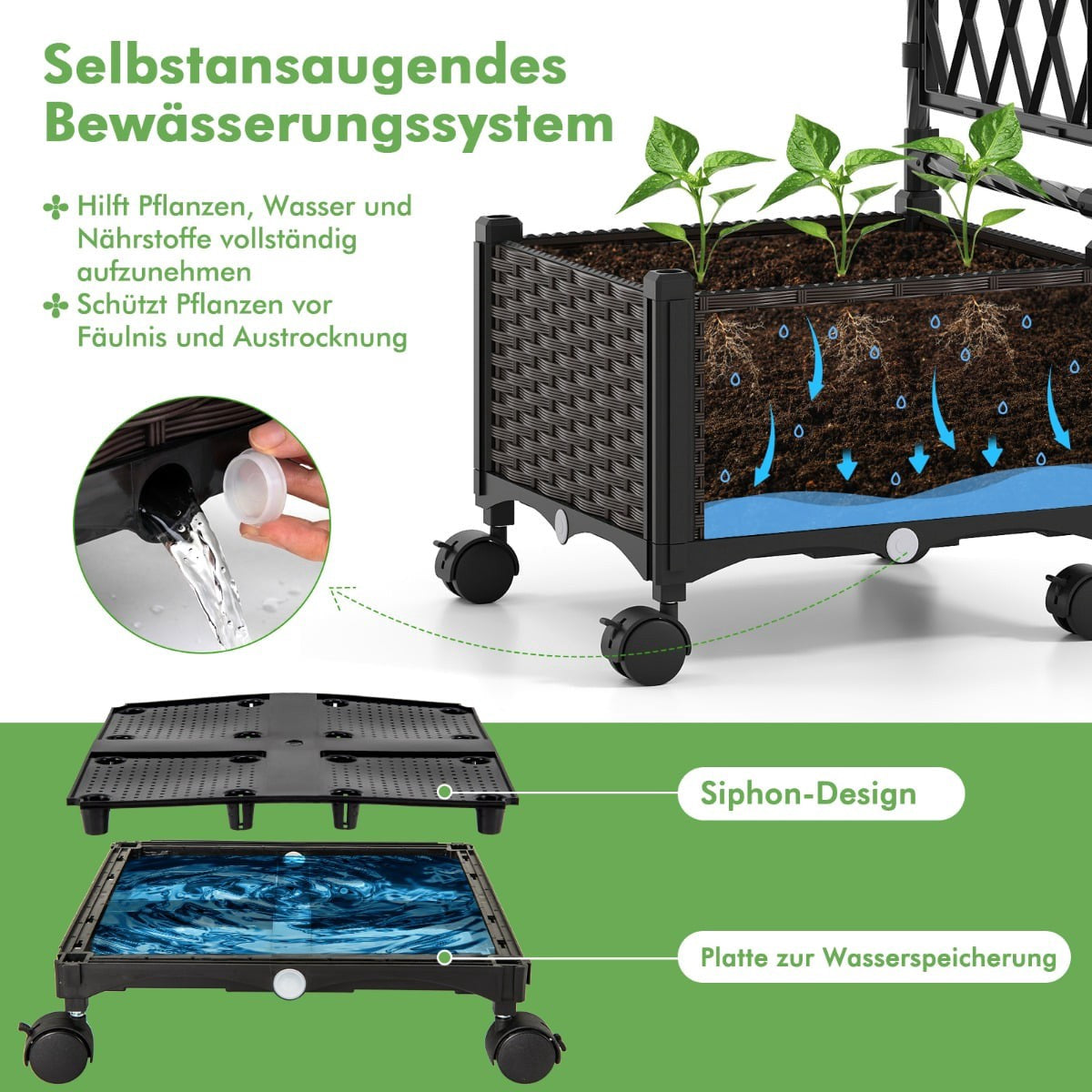 Vertical Planter with Trellis & Self-Watering System
