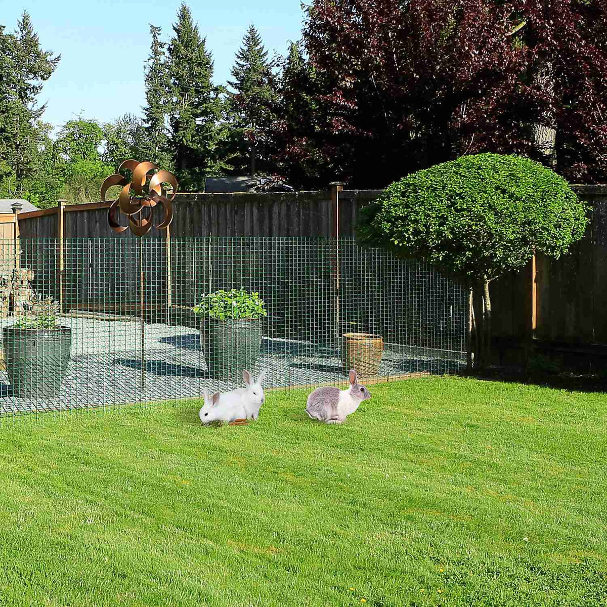 Vole Screen Aviary Wire & Mesh, Flexible, Pvc, Dark Green, 0.9X30 M, Protective Screen