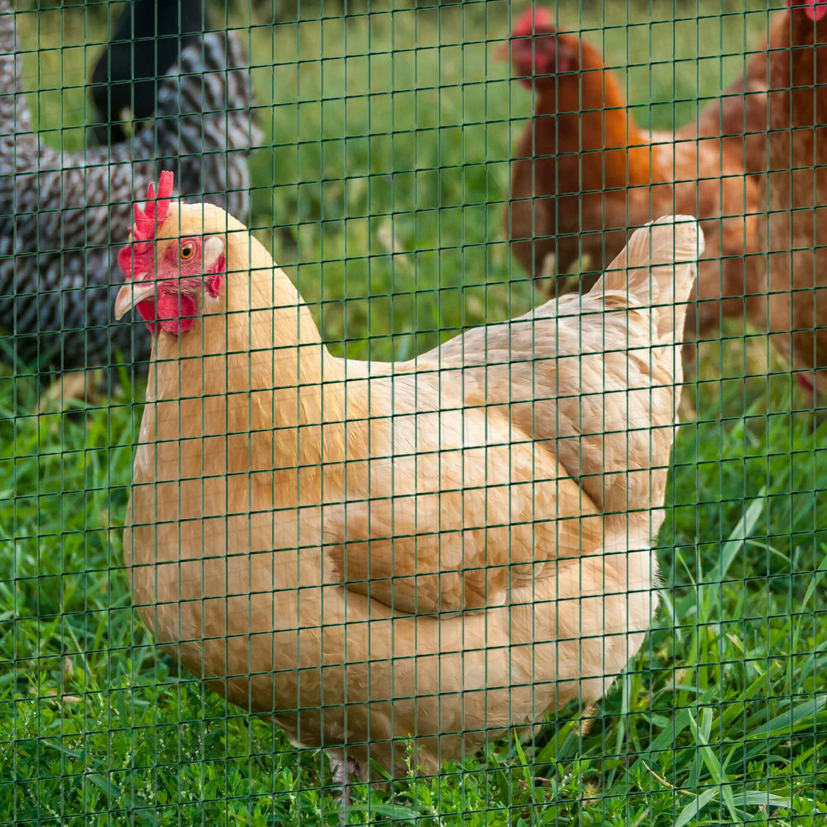 Vole Screen Aviary Wire & Mesh, Flexible, Pvc, Dark Green, 0.9X30 M, Protective Screen
