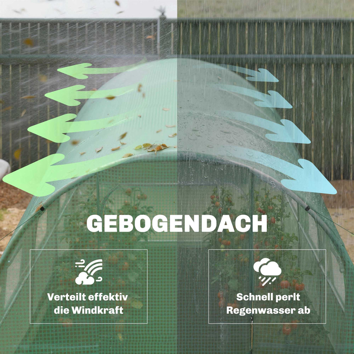 Walk-In Polytunnel Greenhouse, 2x3m, PE Cover, Steel Frame