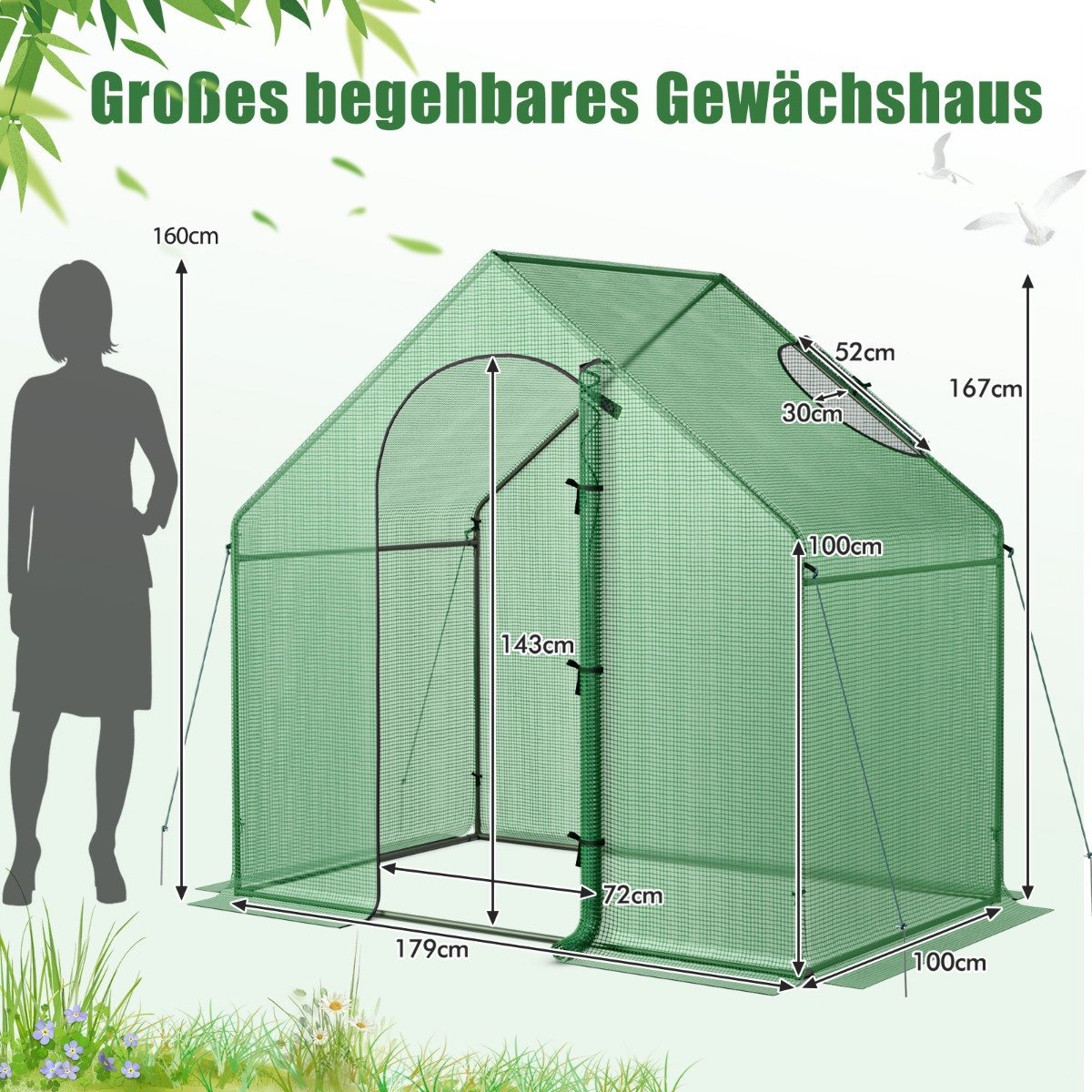 Walk-in greenhouse with PE cover & roll-up zip door & window film greenhouse