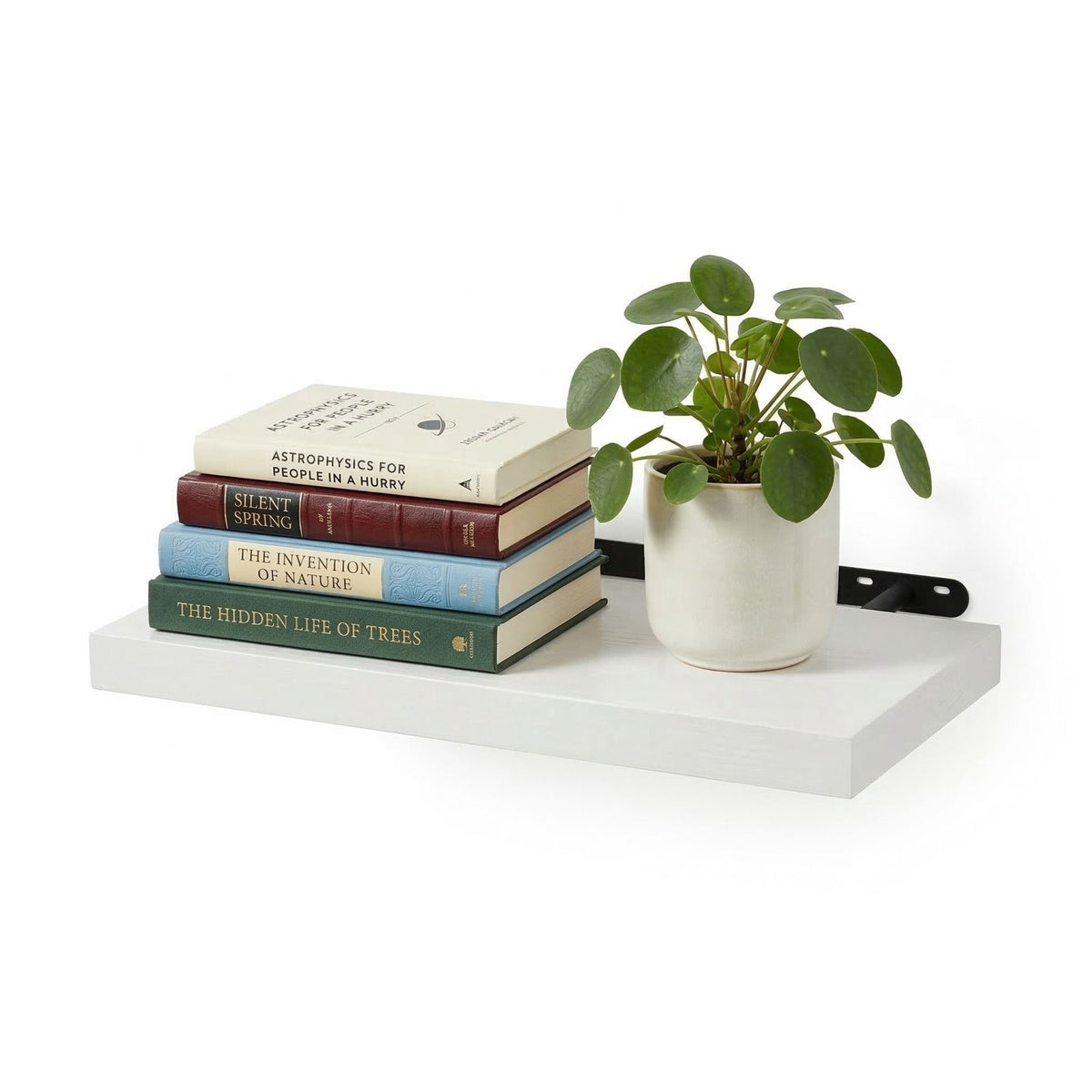 Wall-Mounted Shelf With Metal Bracket, Floating Display
